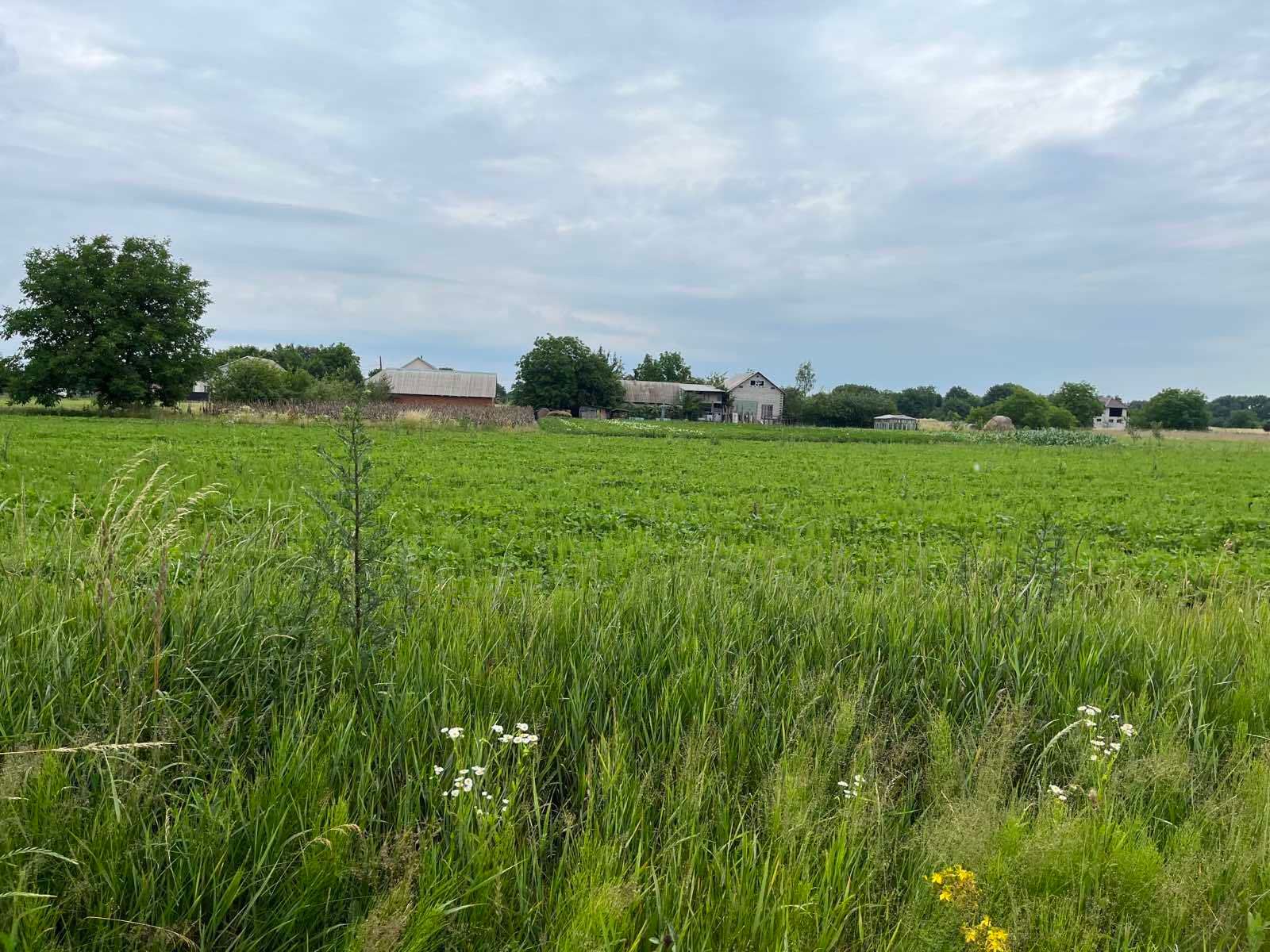 За сколько можно присвоить кадастровый номер За сколько можно присвоить кадастровый номер