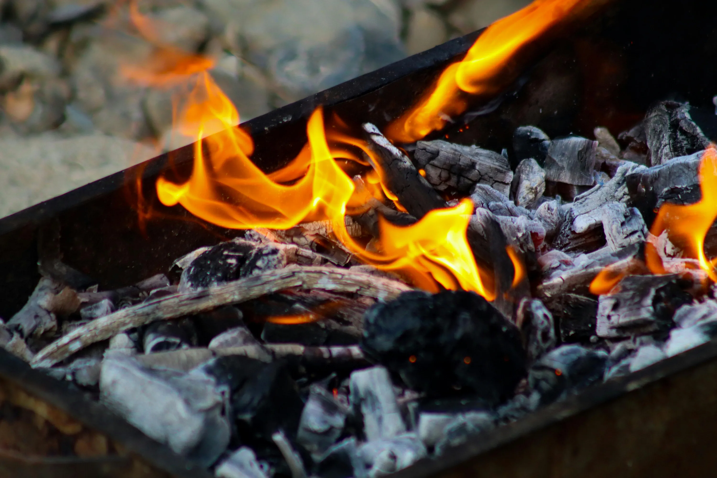 Деревний попіл добре впливає на ріст рослин