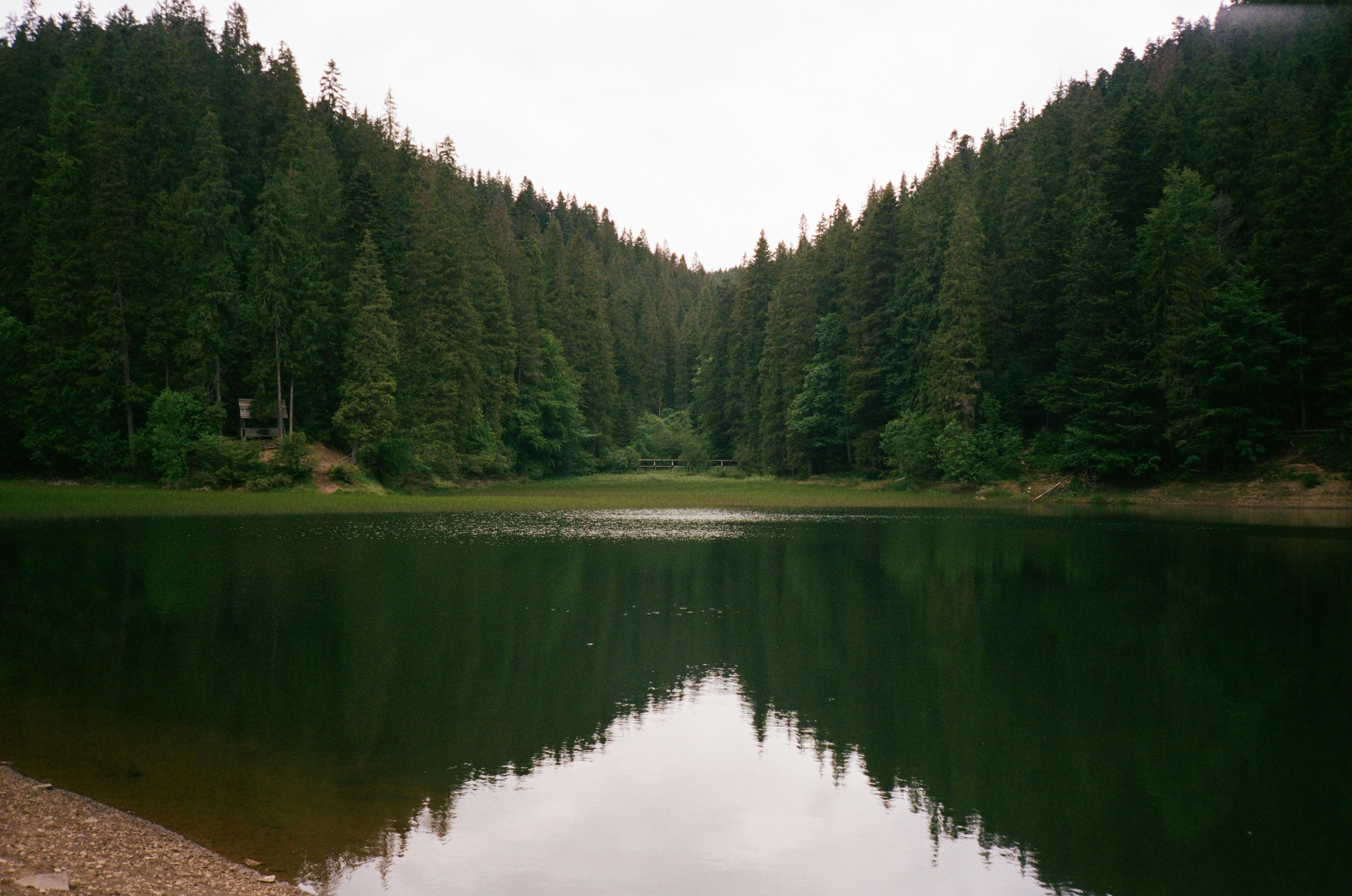 закарпатская область - Тренды закарпатская область - Тренды