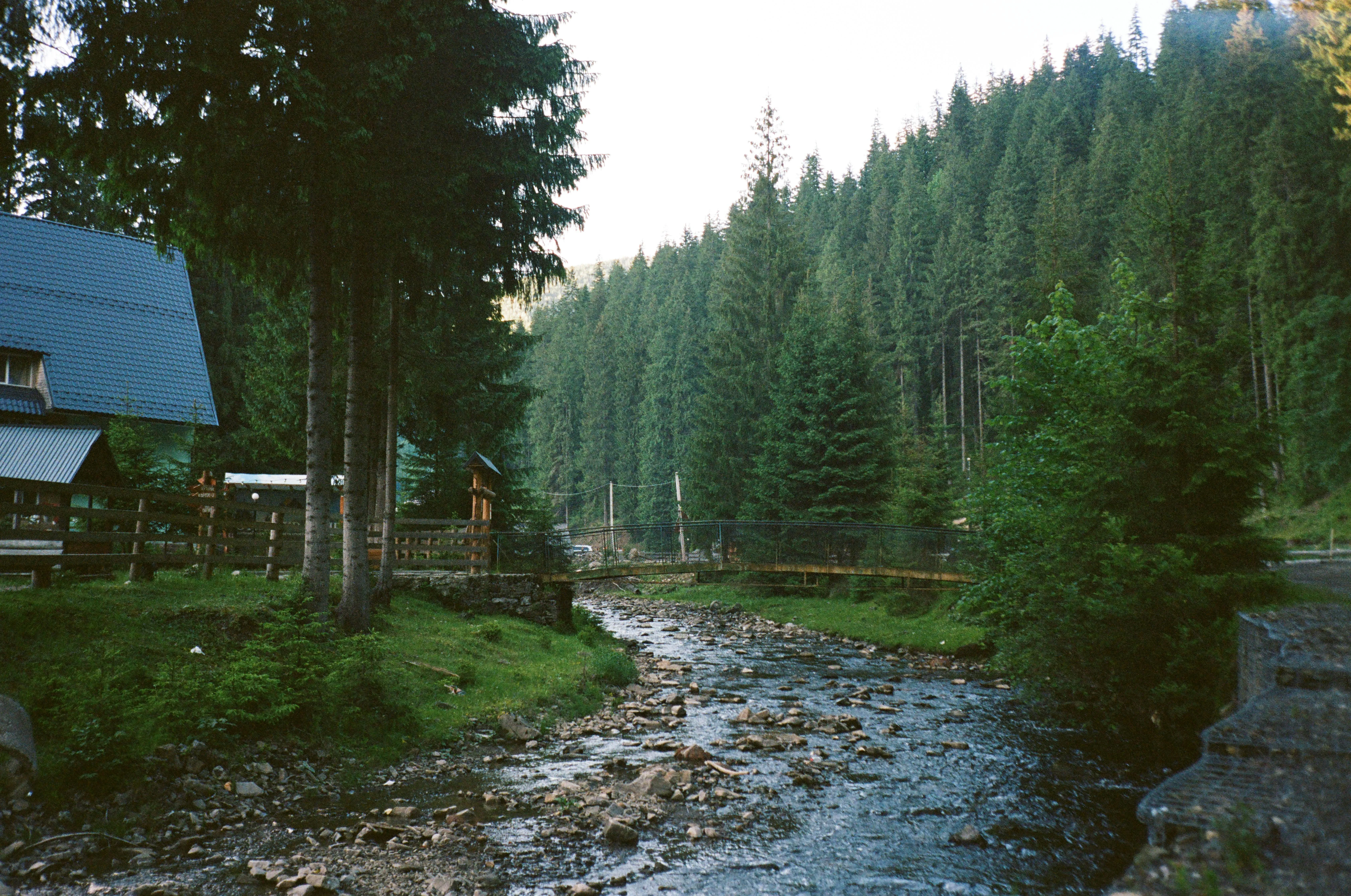 Закарпатская область