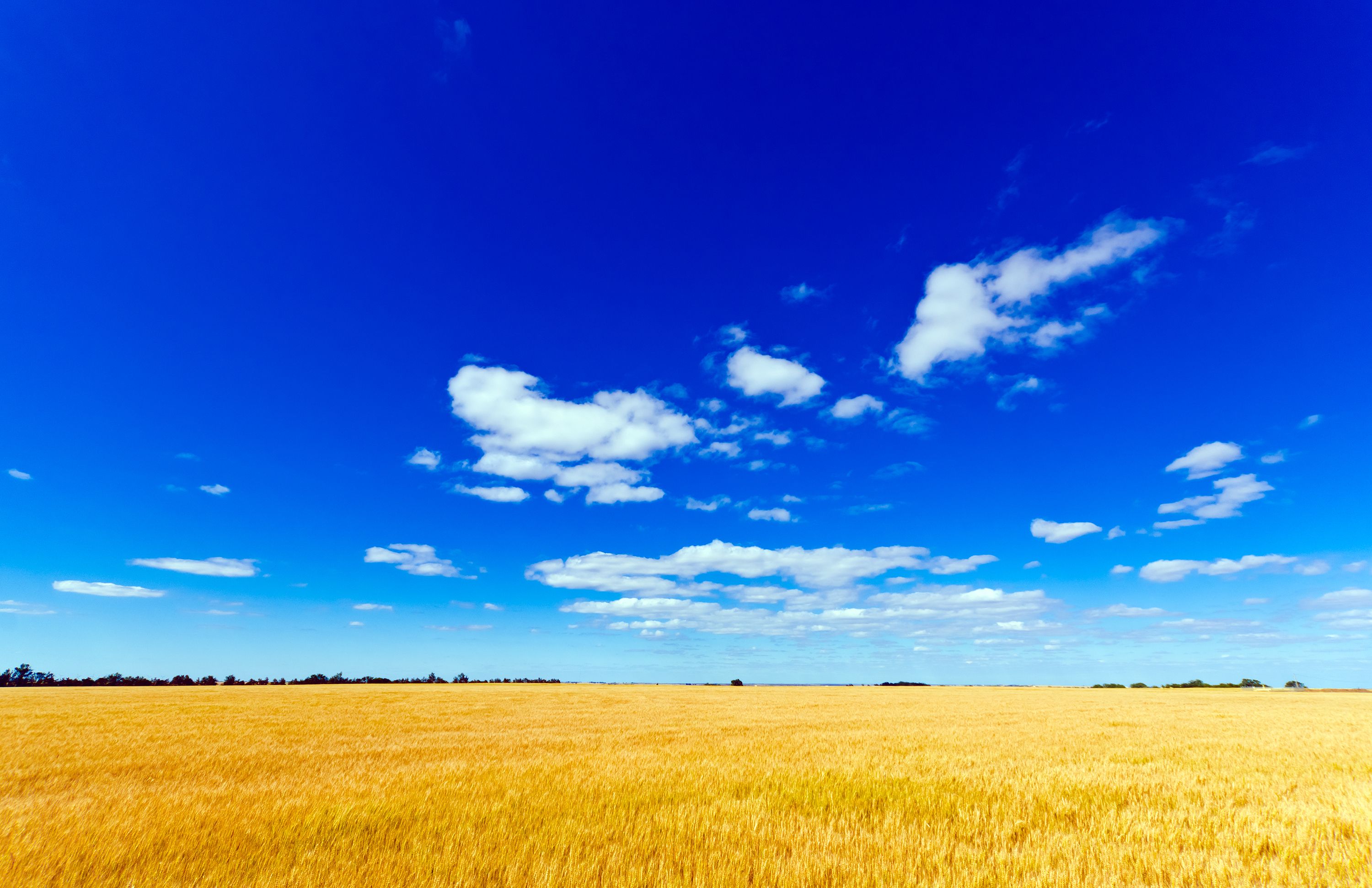 Торговельний безвіз України та ЄС закінчується Торговельний безвіз України та ЄС закінчується