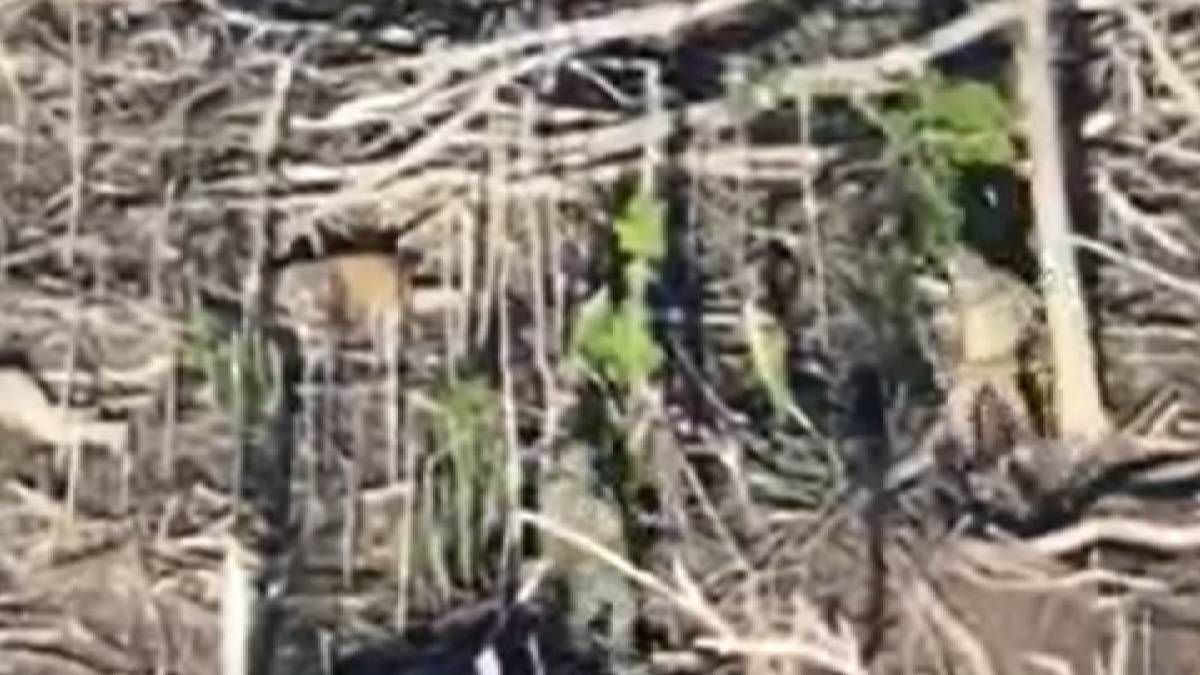 В районе Покровска оккупанты убили двух военнопленных В районе Покровска оккупанты убили двух военнопленных