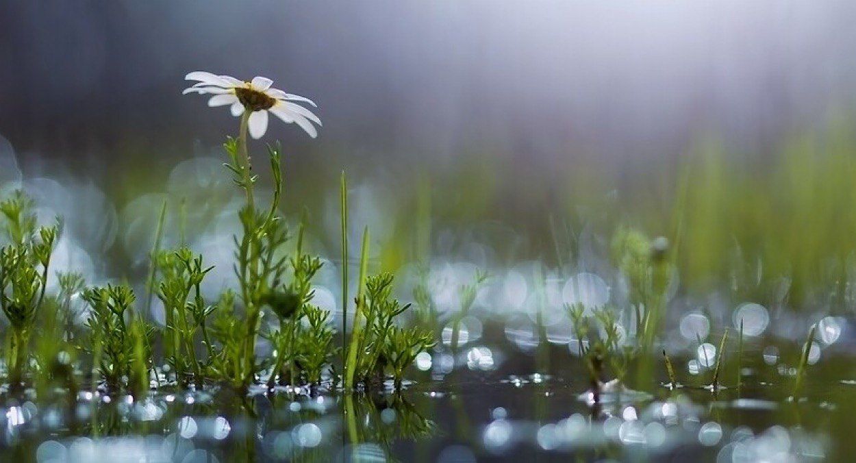 Град и сильный ветер Град и сильный ветер