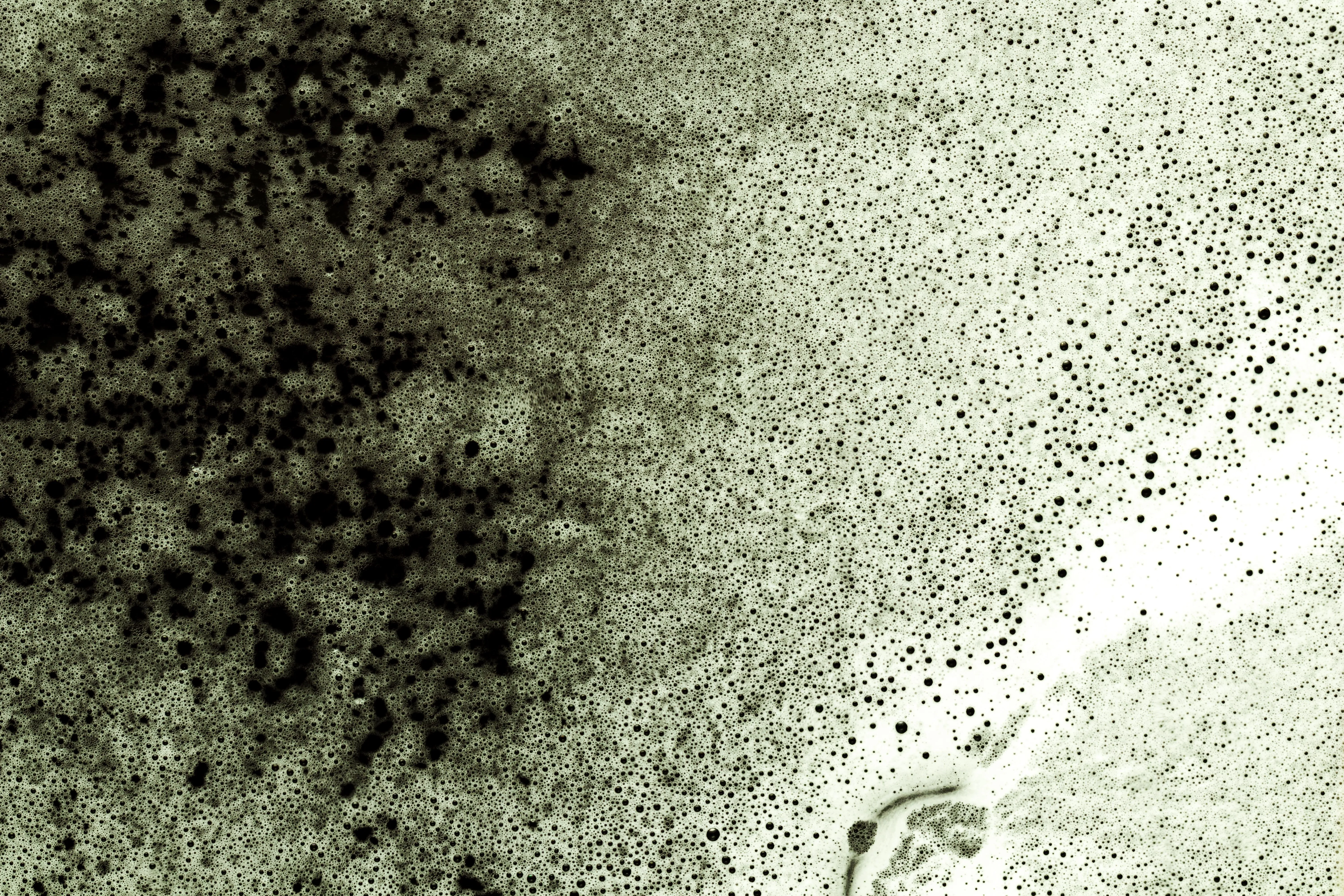 Почему появляется плесень в ванной комнате Почему появляется плесень в ванной комнате