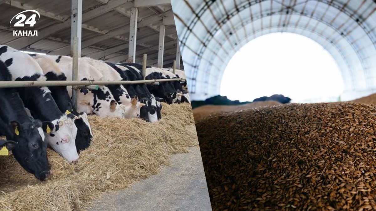 Обстріли Харківської області – як Росія знищує аграрні підприємства - Агро 24 Обстріли Харківської області – як Росія знищує аграрні підприємства - Агро 24