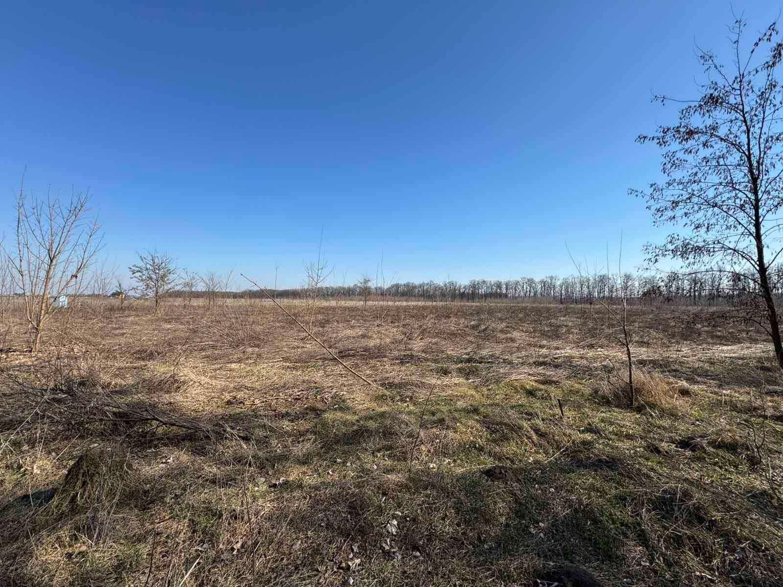 Можно ли вернуть землю Можно ли вернуть землю