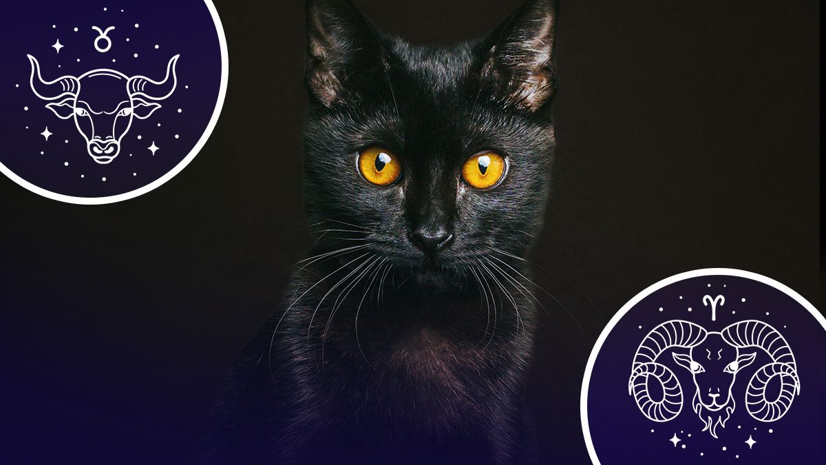 У кого начнется черная полоса в жизни - гороскоп У кого начнется черная полоса в жизни - гороскоп