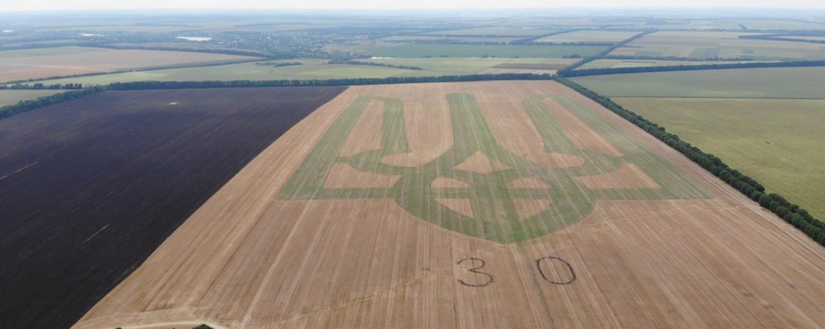 трезубец - Тренды