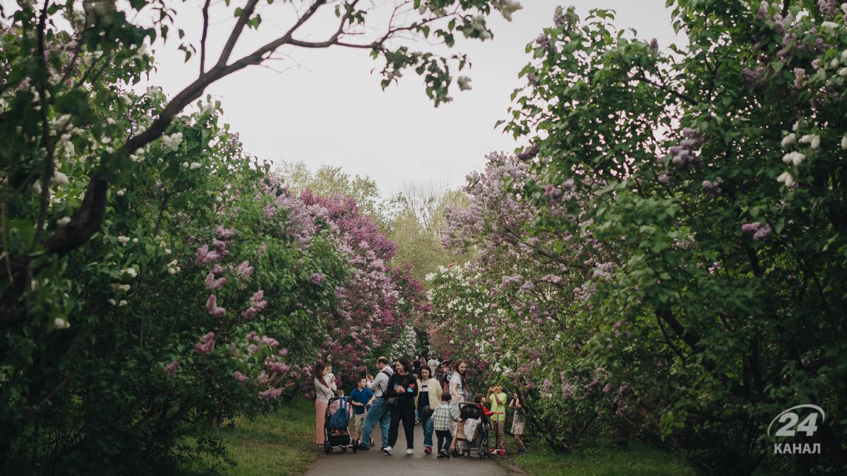 Погода в Украине Погода в Украине