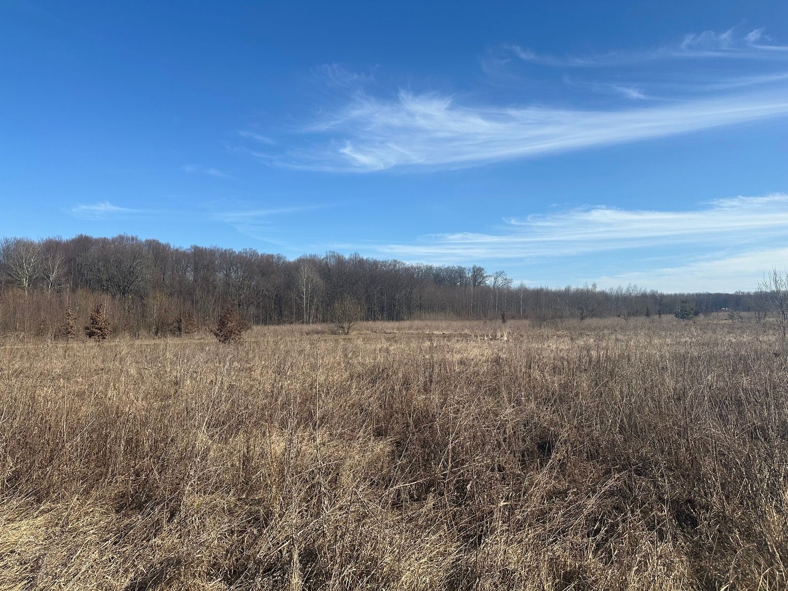 Кто не платит земельный налог Кто не платит земельный налог