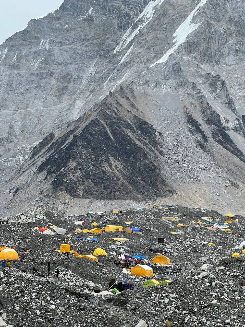 Жовті намети у базовому таборі Евересту Жовті намети у базовому таборі Евересту