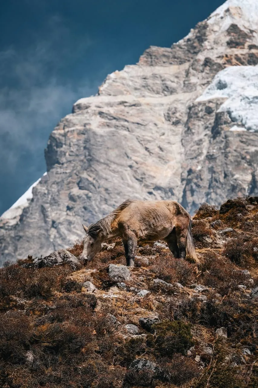 Сходження до базового табору Евересту Сходження до базового табору Евересту