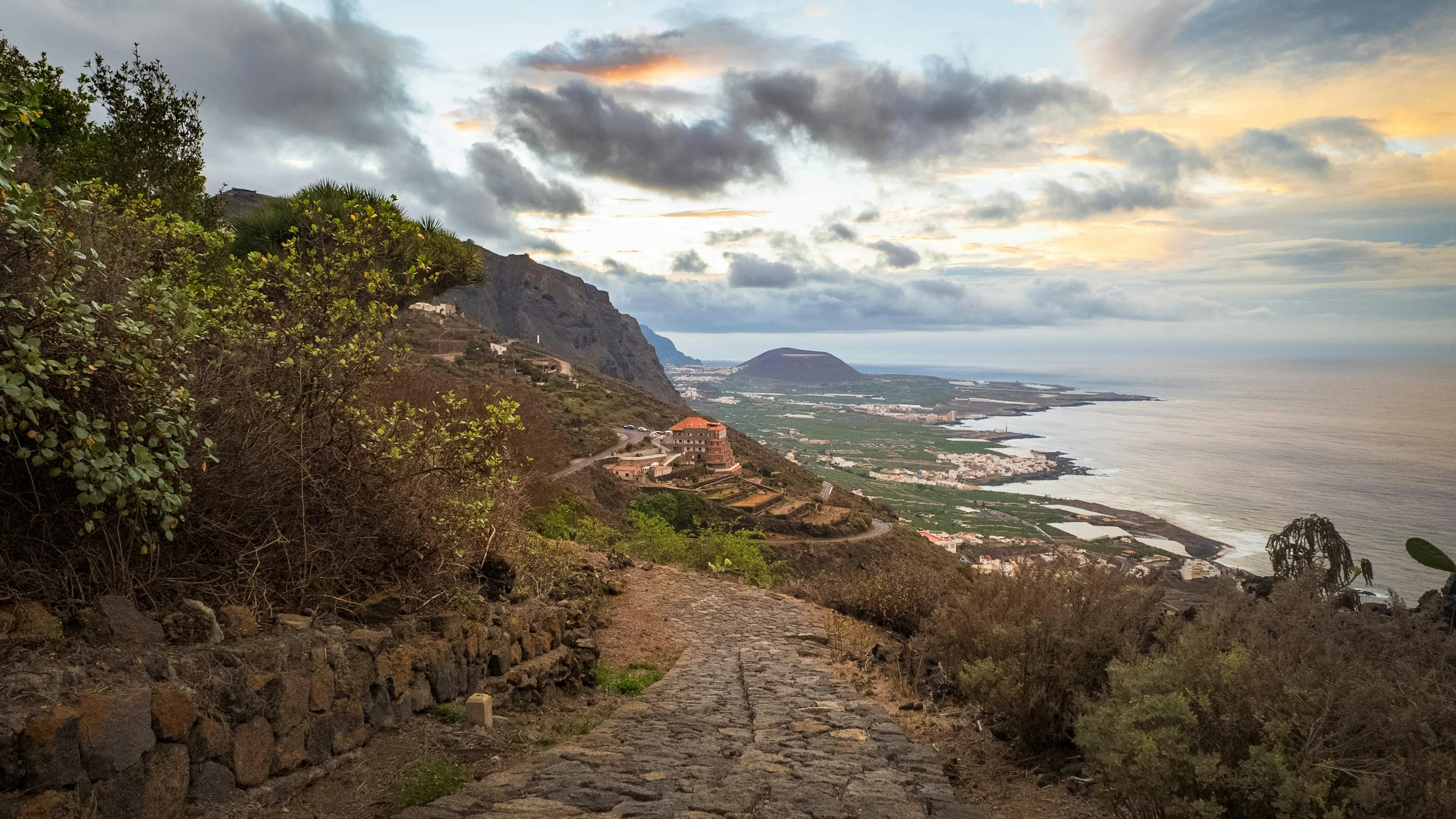 Канары Канары