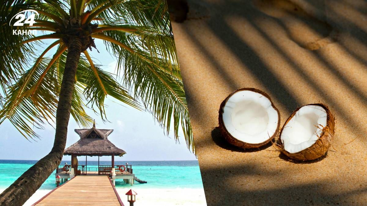 Идеальное место для отдыха - гороскоп Идеальное место для отдыха - гороскоп