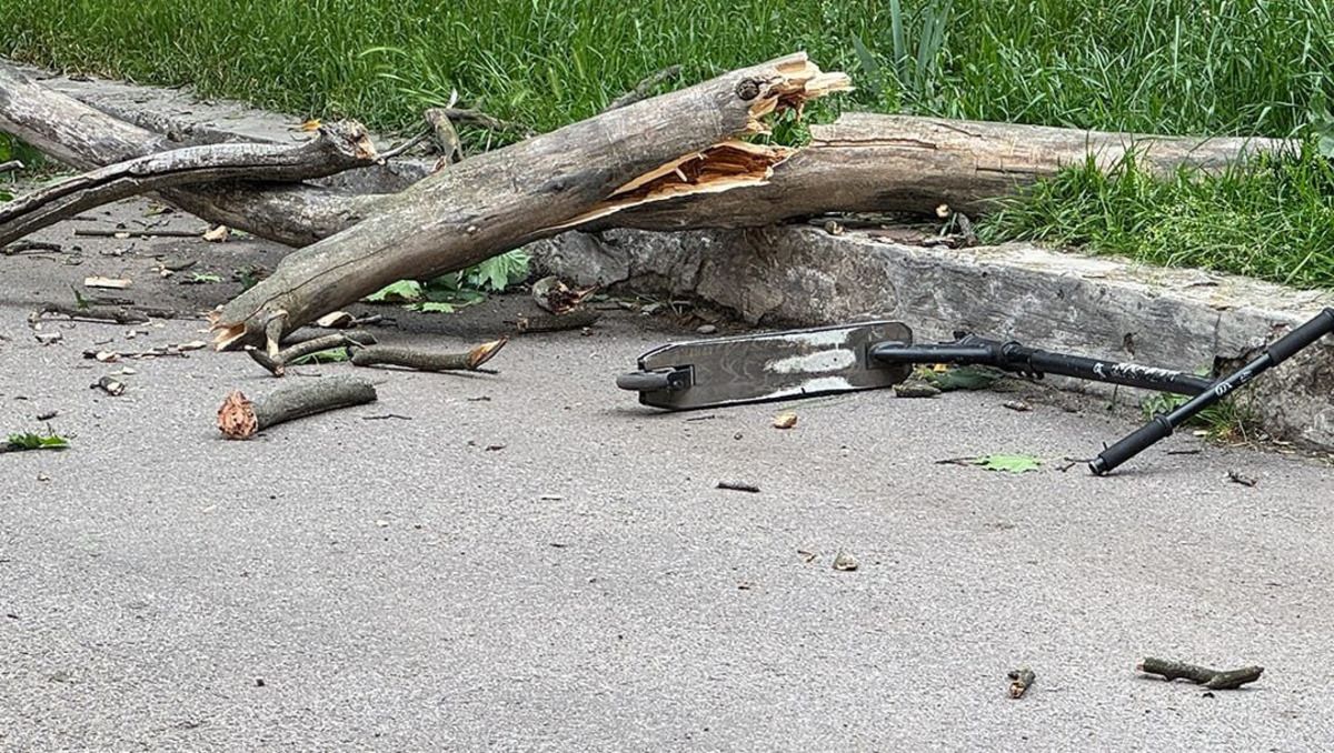 В каком состоянии 9-летний мальчик, на которого упало дерево в центре Полтавы В каком состоянии 9-летний мальчик, на которого упало дерево в центре Полтавы