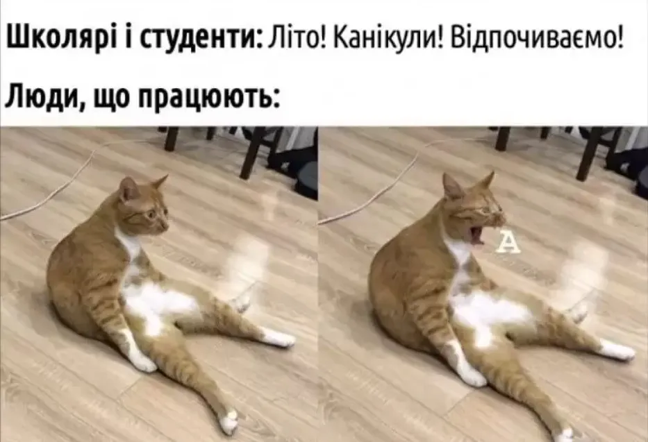 Як інші реагують на кінець навчального року Як інші реагують на кінець навчального року