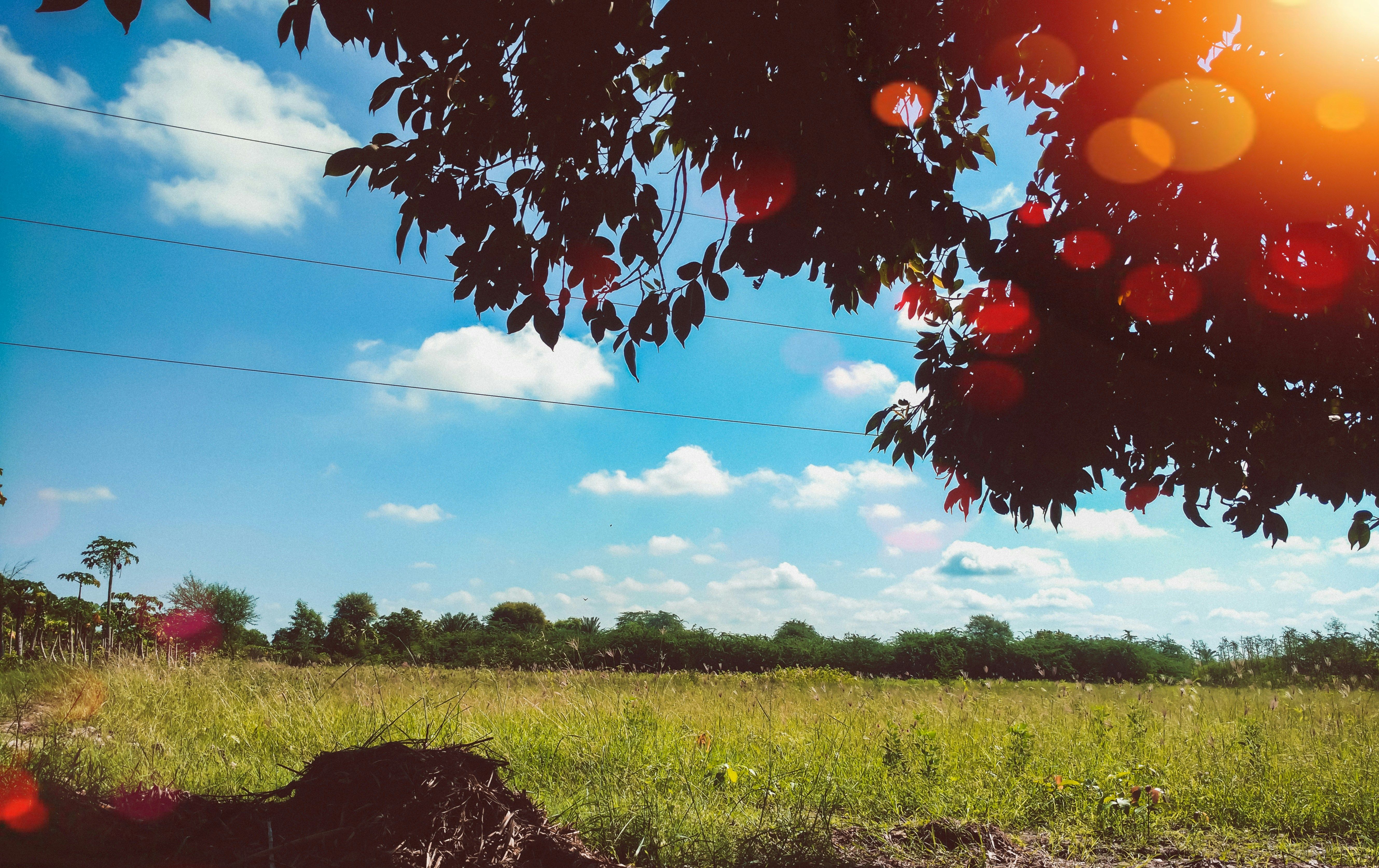 Погода на июнь