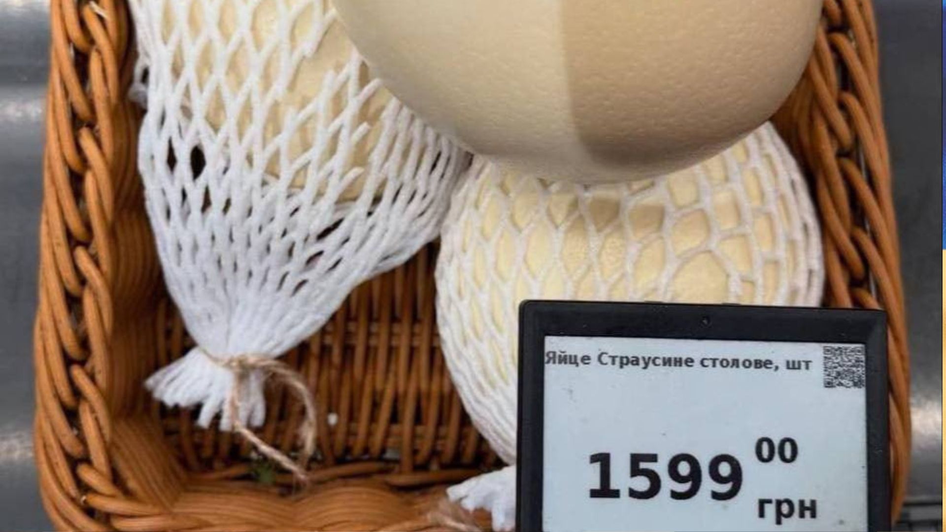 Страусині яйця в Україні Страусині яйця в Україні