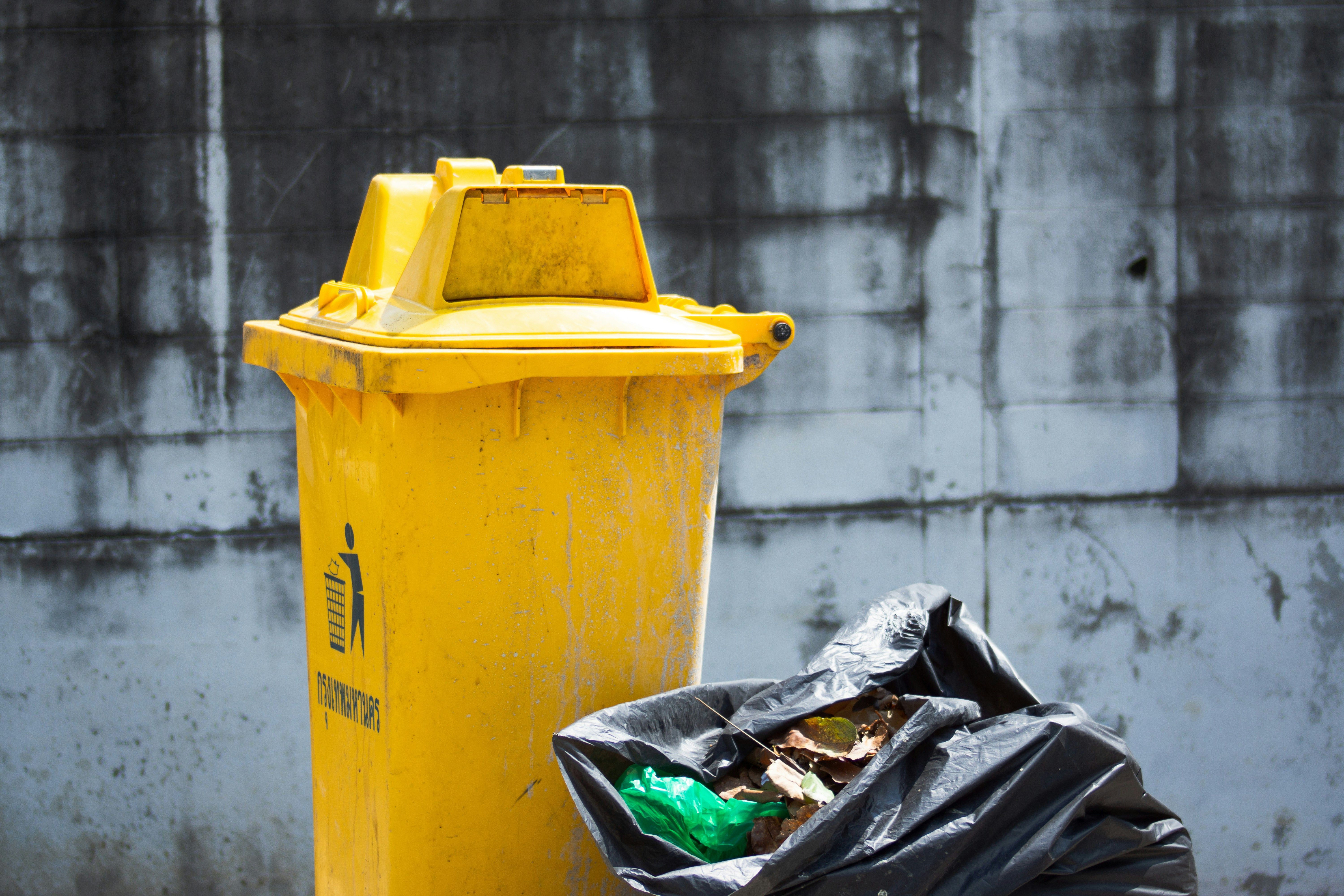 Похищенную картину Жана-Поля Риопеля нашли на свалке Похищенную картину Жана-Поля Риопеля нашли на свалке