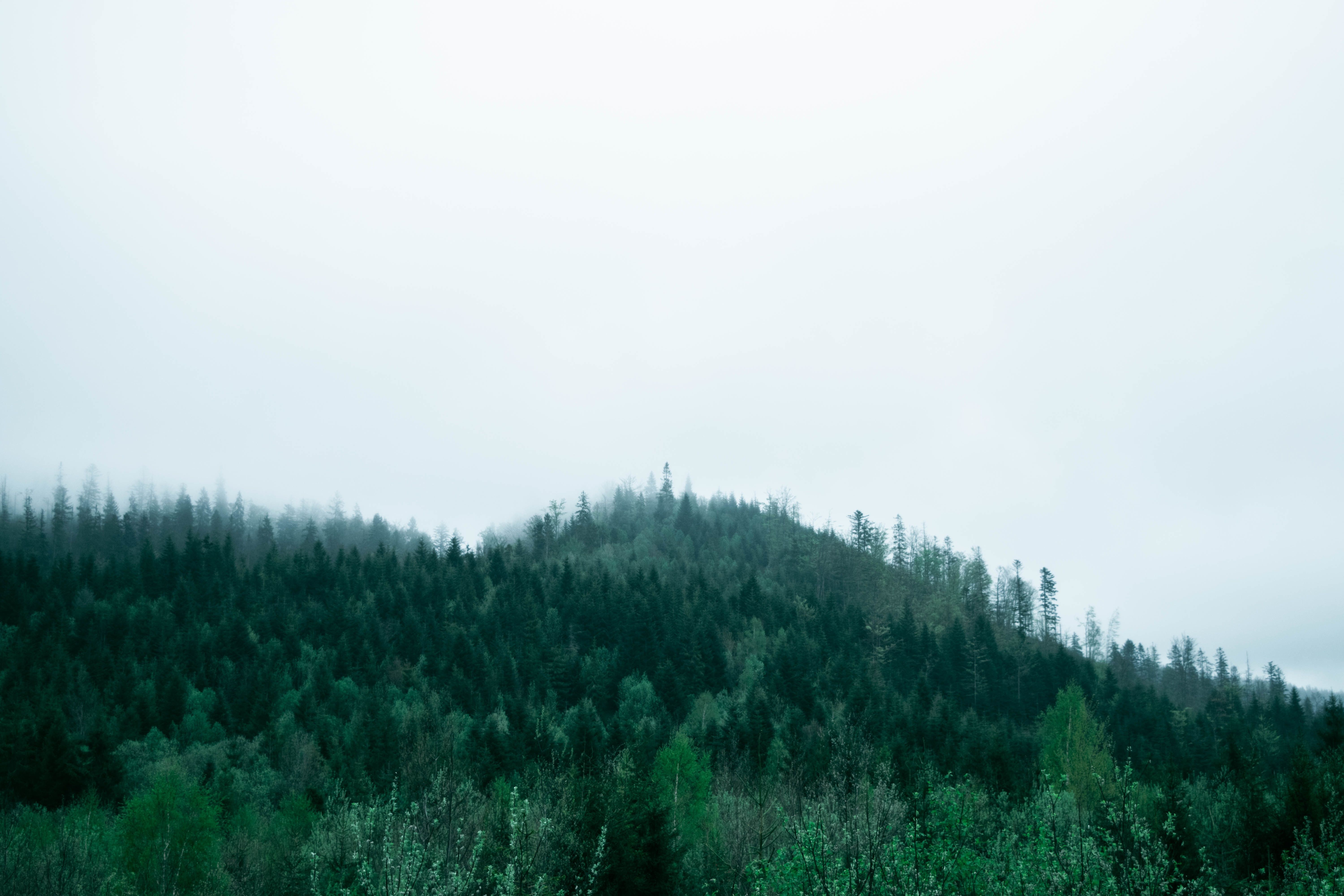 ГСЧС помогли спасти травмированного в горах поляка ГСЧС помогли спасти травмированного в горах поляка