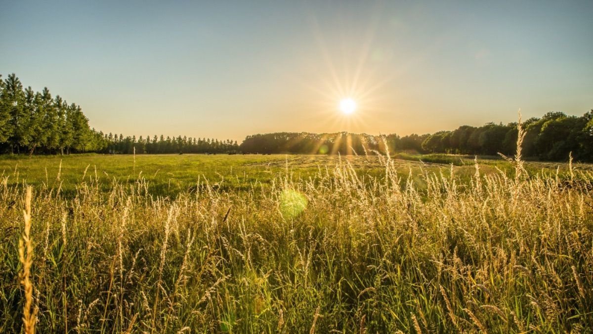 День літнього сонцестояння 2025