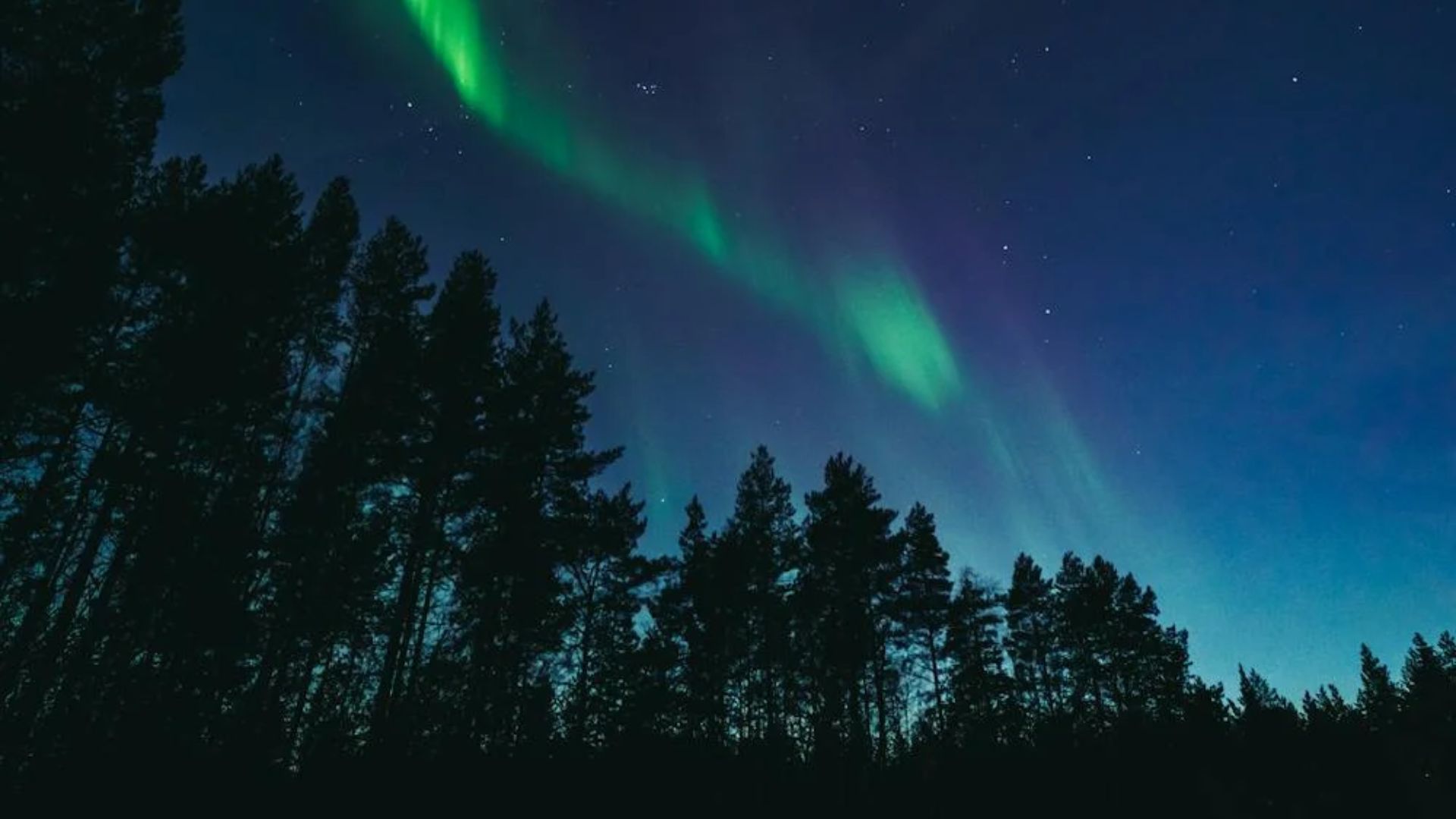 В Украине снова возможно полярное сияние В Украине снова возможно полярное сияние