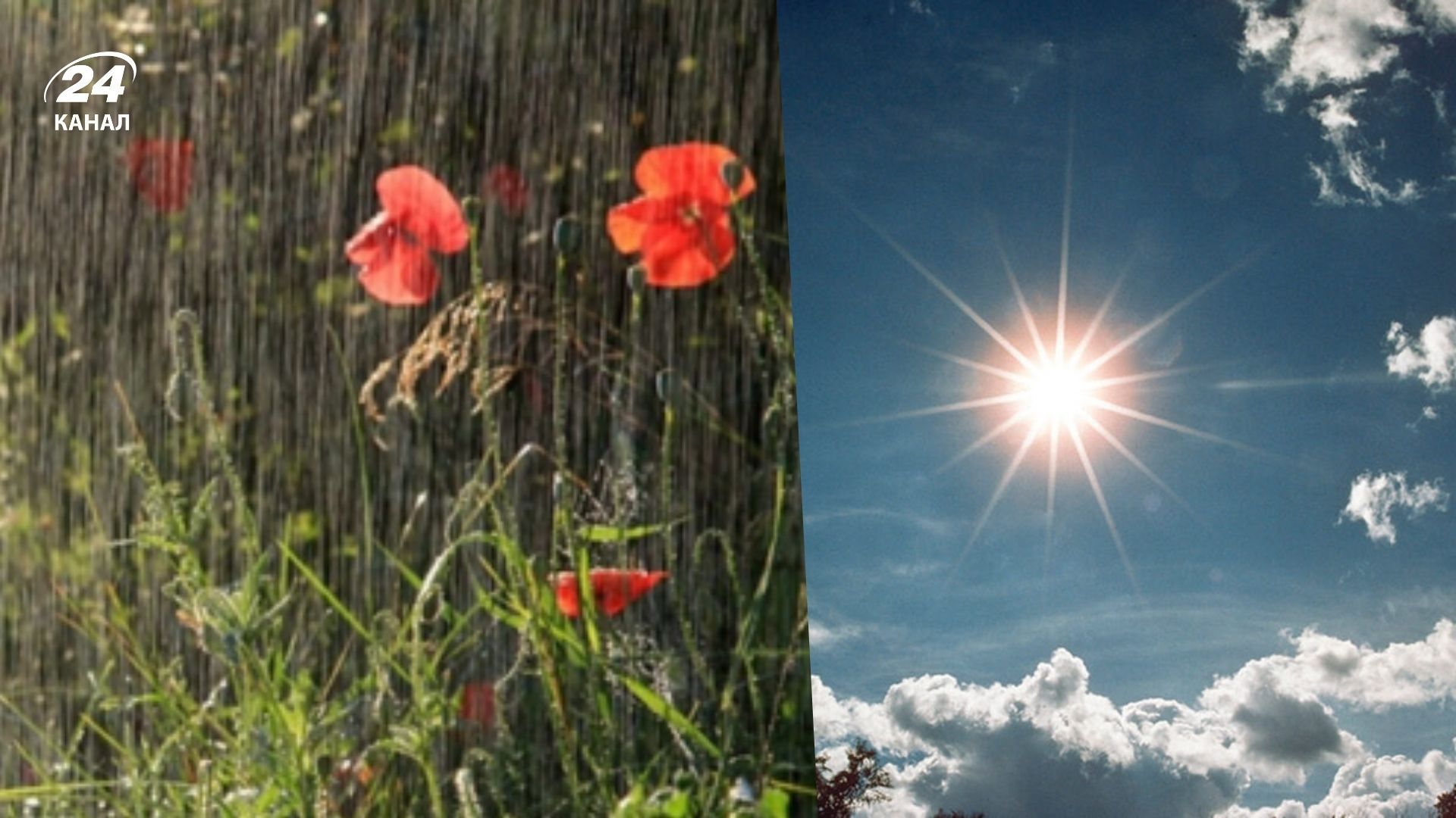 Прогноз погоды на 2 июня - 24 Канал Прогноз погоды на 2 июня - 24 Канал