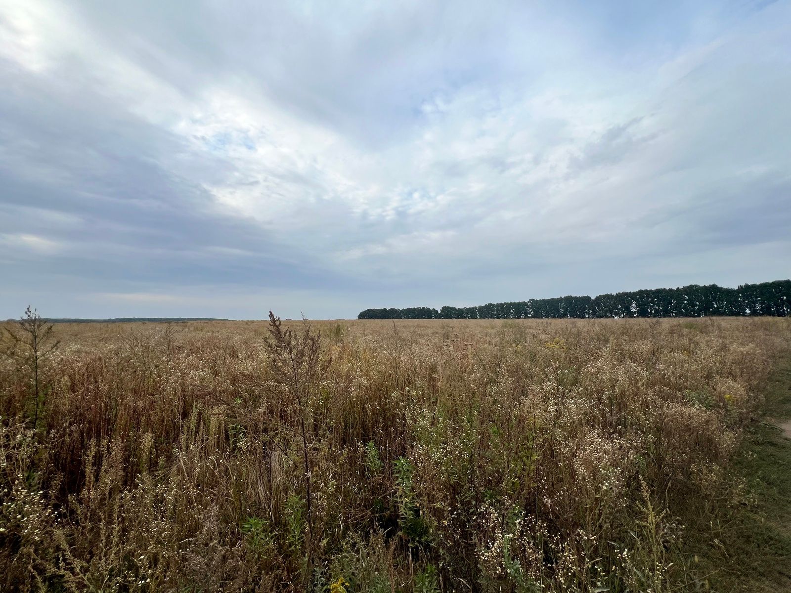 Як приватизувати город Як приватизувати город