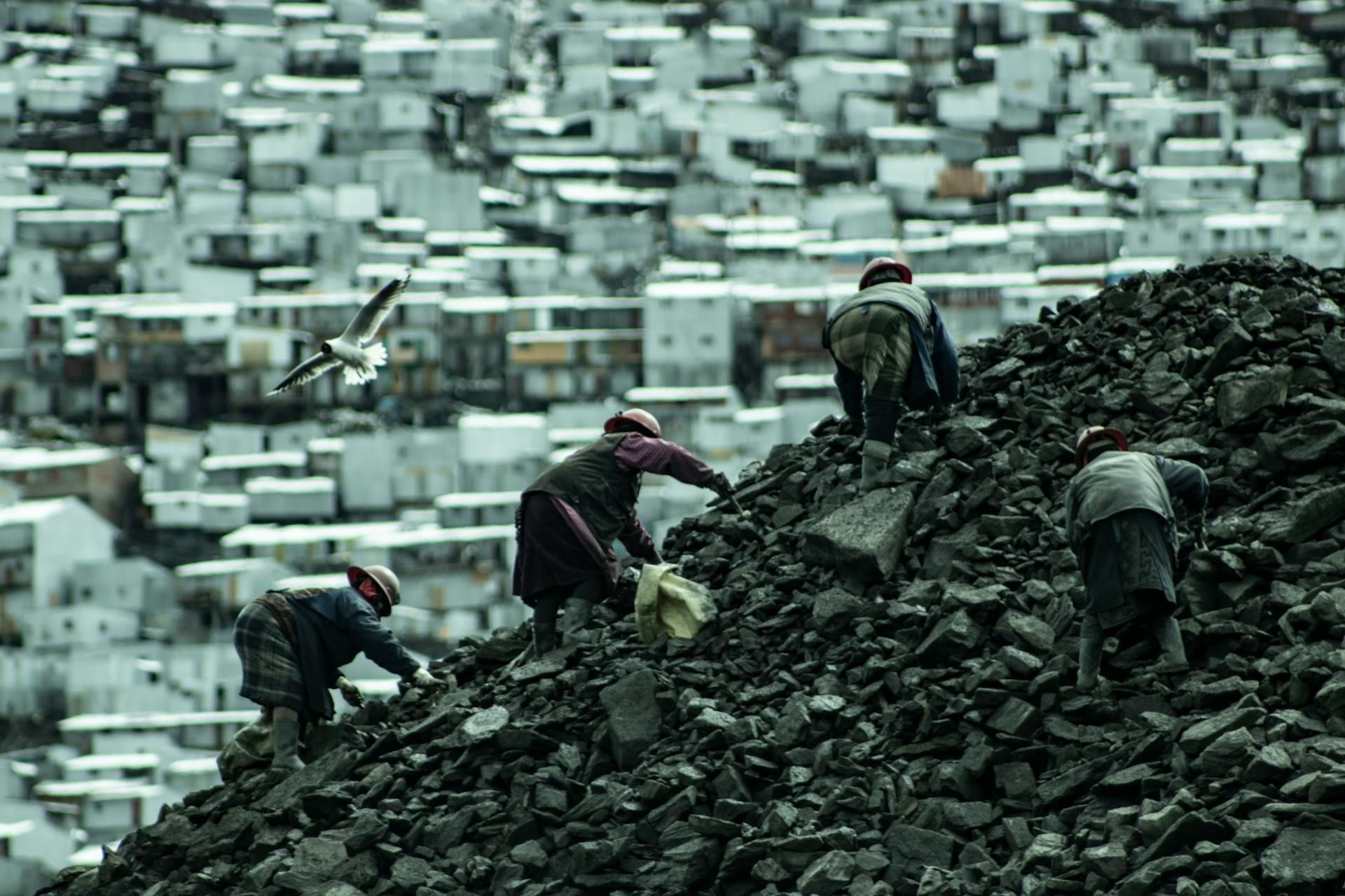 Люди добывают золото в Ла-Риконаде Люди добывают золото в Ла-Риконаде