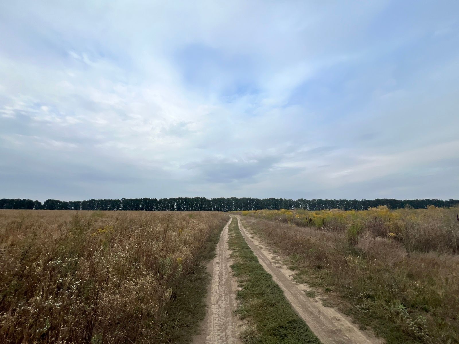 Как приватизировать участок Как приватизировать участок