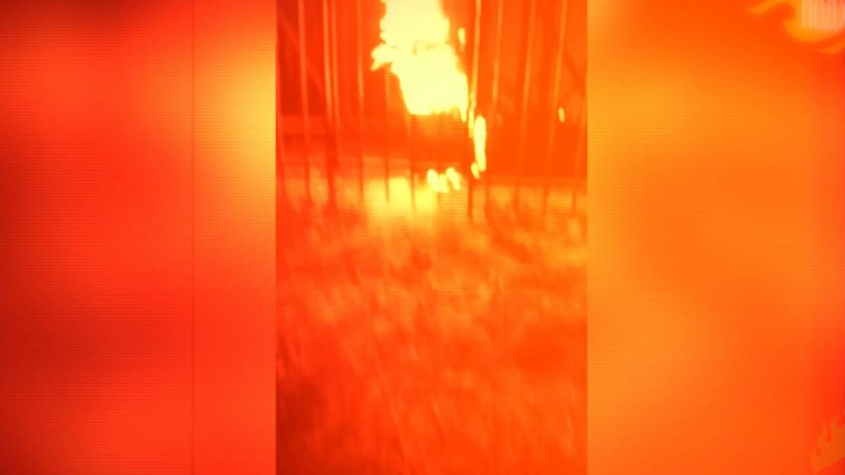 Партизаны на территории России помогали в операции Паутина Партизаны на территории России помогали в операции Паутина