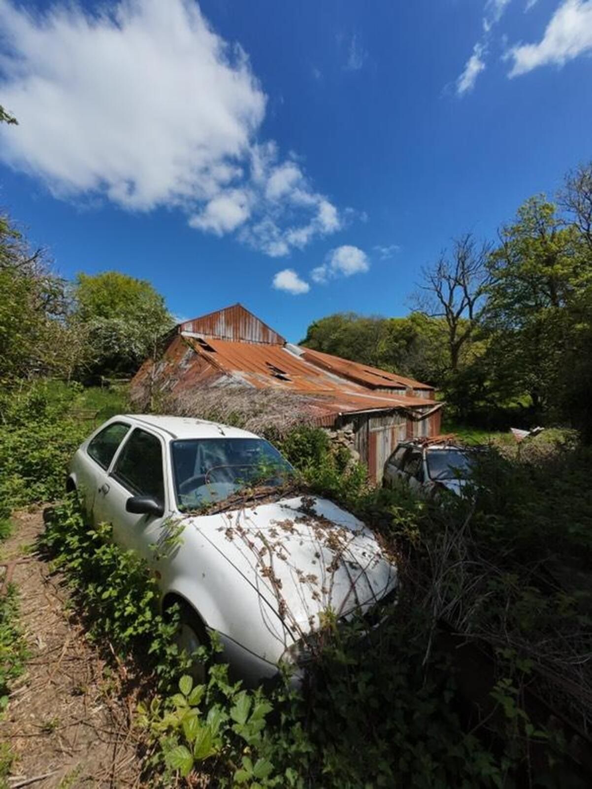 Чоловік натрапив на покинутий будинок посеред лісу - що його вразило всередині - Нерухомість Чоловік натрапив на покинутий будинок посеред лісу - що його вразило всередині - Нерухомість