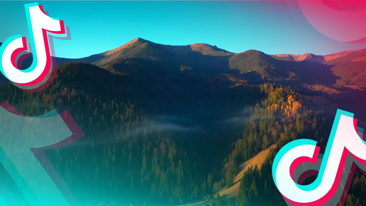 Новый тренд тиктока Новый тренд тиктока