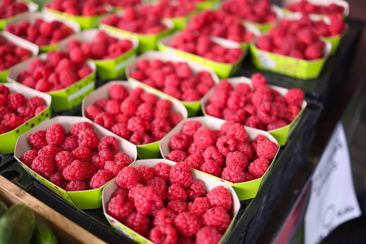 Малина у лотках Малина у лотках