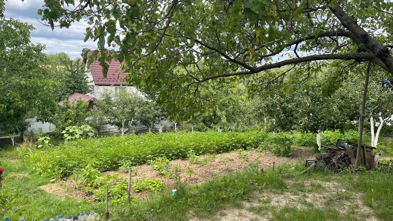 Можно ли приватизировать без соседей Можно ли приватизировать без соседей