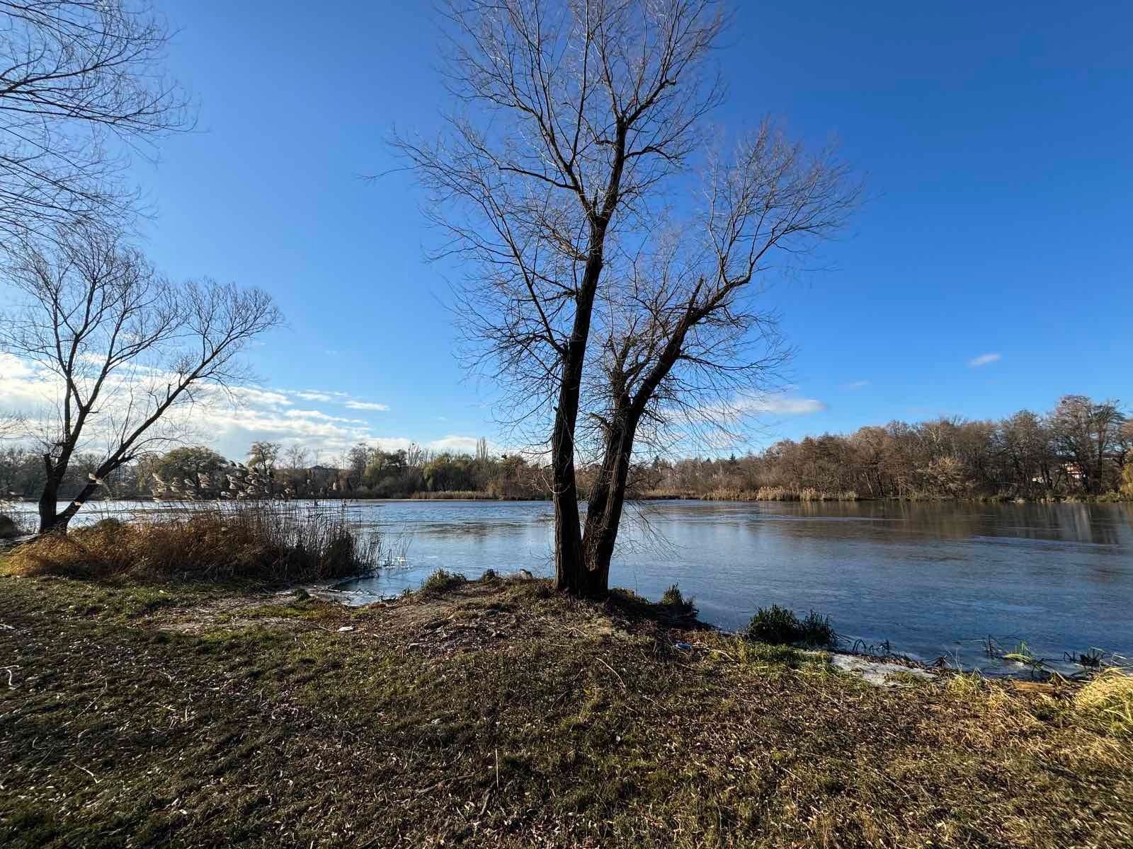 Какую землю нельзя оформить Какую землю нельзя оформить