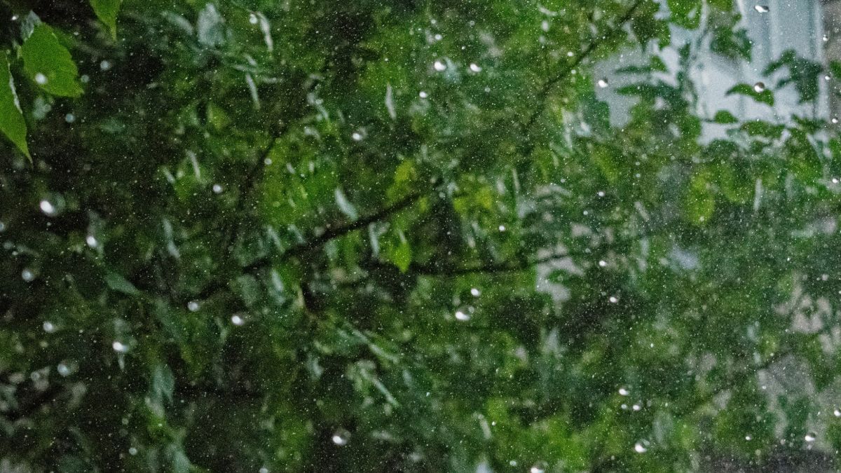 Когда начнутся дожди почти по всей территории Украины Когда начнутся дожди почти по всей территории Украины