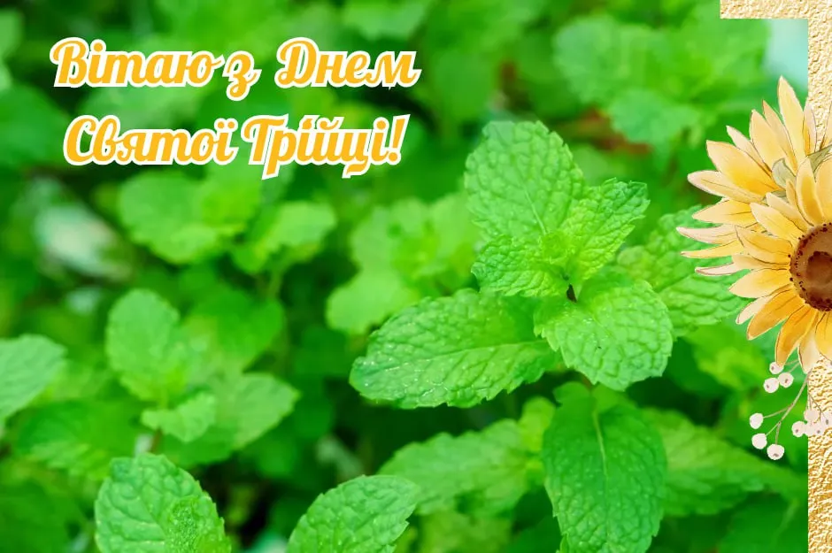 Поздравления с Зелеными праздниками 2025 Поздравления с Зелеными праздниками 2025