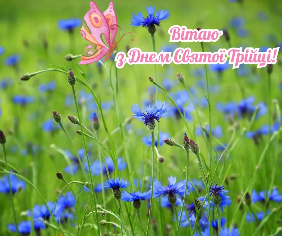 Поздравления с Зелеными праздниками 2025 Поздравления с Зелеными праздниками 2025