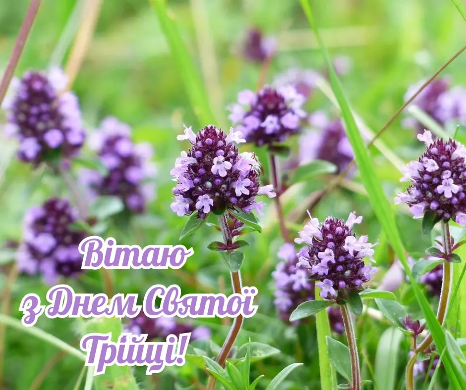 Поздравления с Зелеными праздниками 2025 Поздравления с Зелеными праздниками 2025