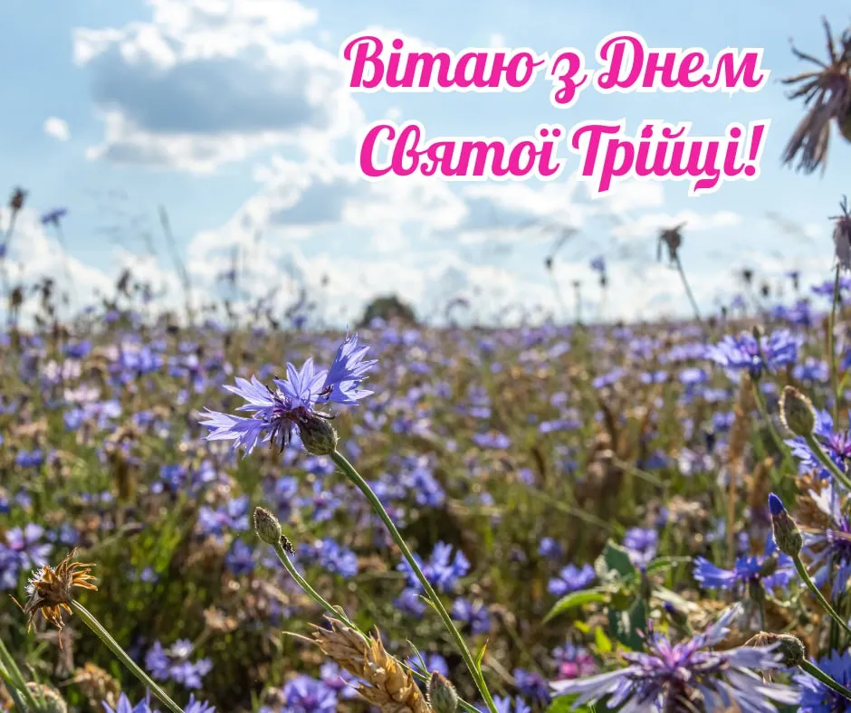 Поздравления с Зелеными праздниками 2025 Поздравления с Зелеными праздниками 2025