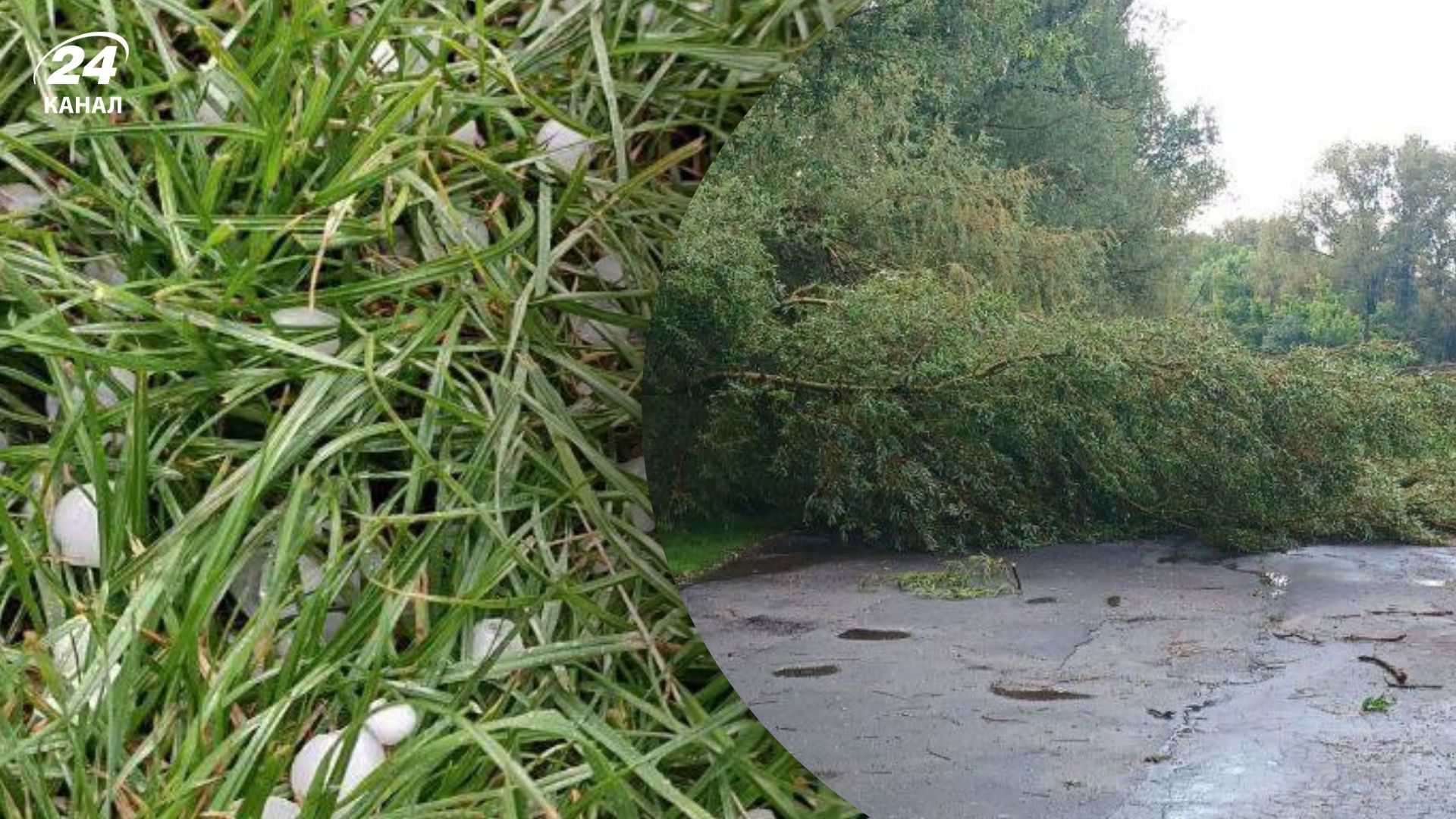 Град великого розміру випав на Хмельниччині та Житомирщині Град великого розміру випав на Хмельниччині та Житомирщині