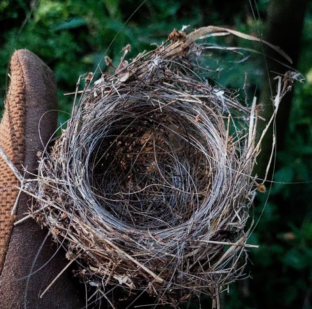 Интересная находка украинских бойцов Интересная находка украинских бойцов