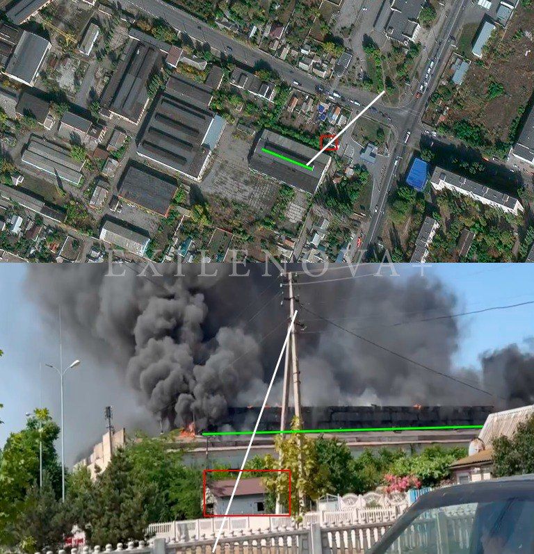 Кішкентай кискадағы үлкен мүшесі