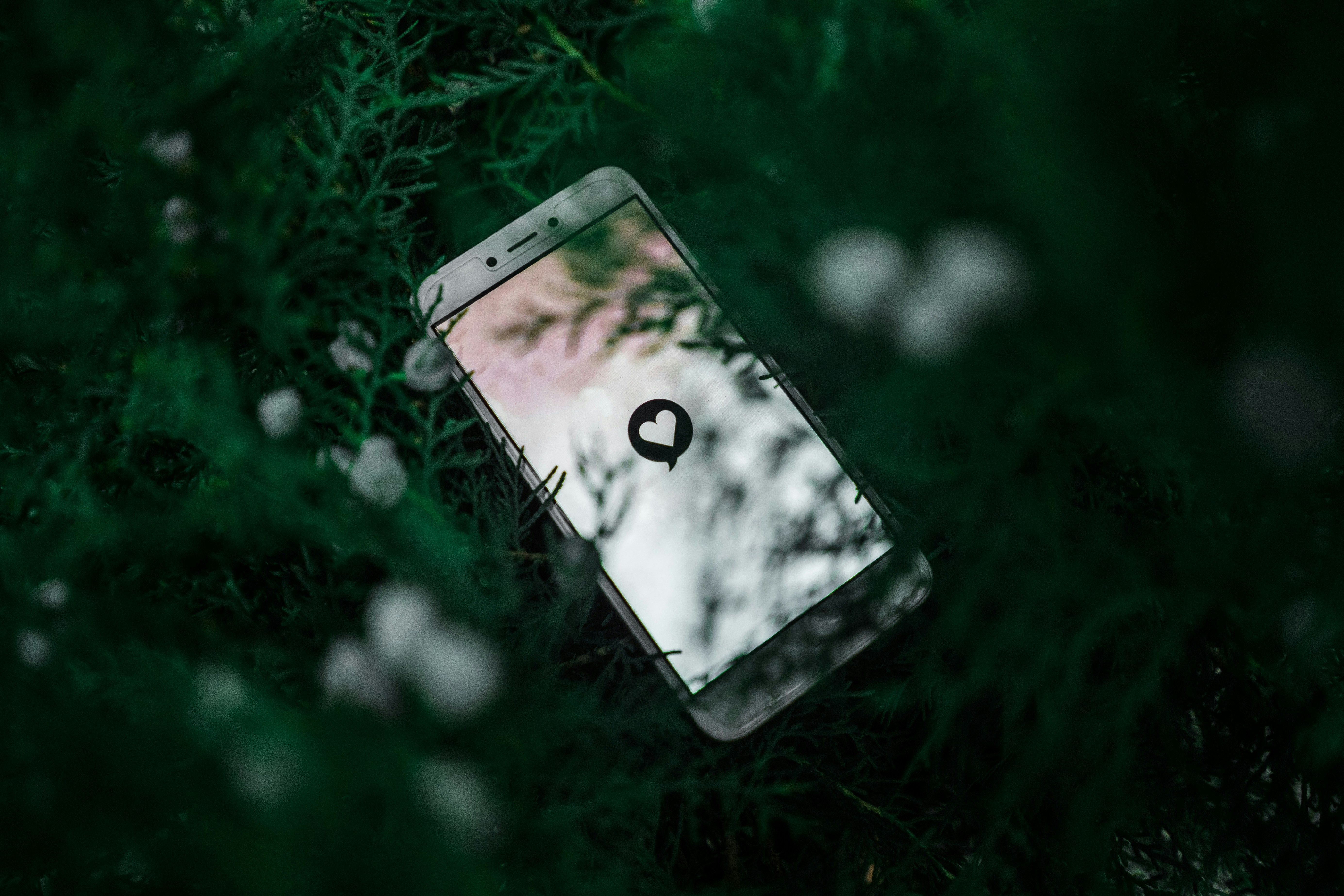 В Мексиці не варто користуватися додатками для знайомств В Мексиці не варто користуватися додатками для знайомств