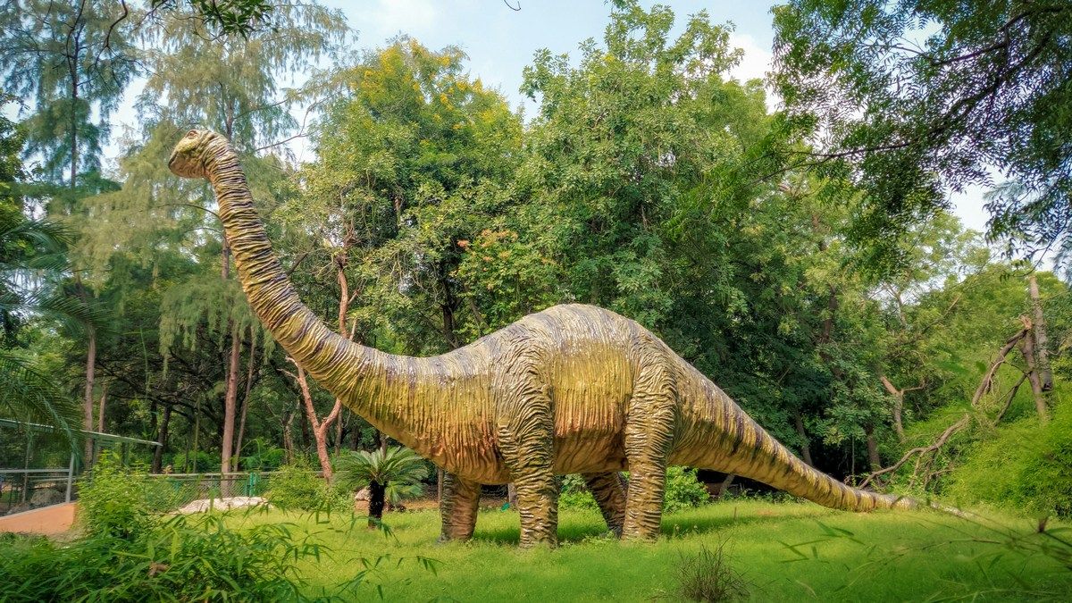 Что ели зауроподы при жизни показали остатки пищи в желудке динозавра Джуди