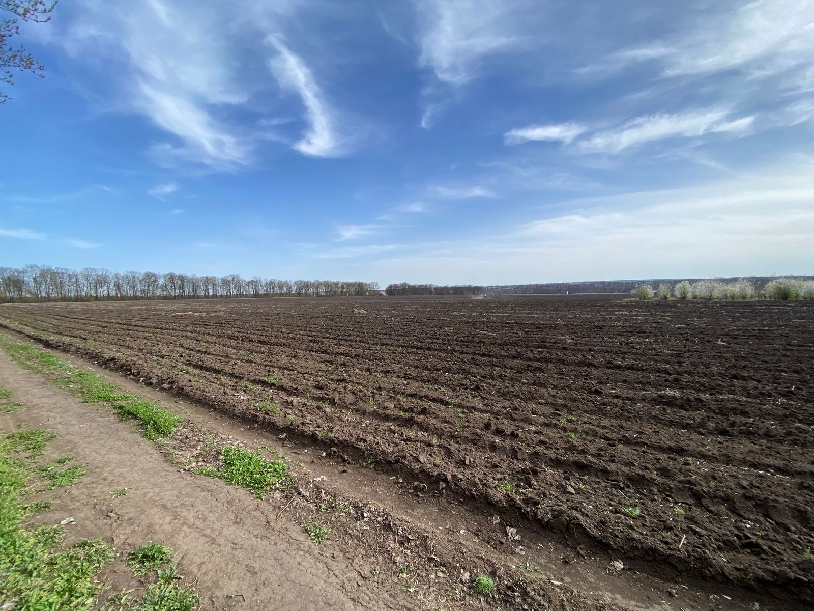 Особливості купівлі землі Особливості купівлі землі