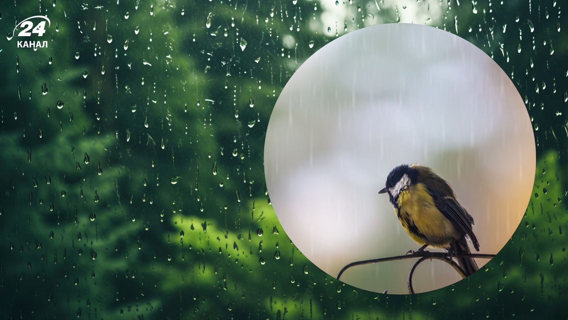 Дощі, пориви вітру і лише подекуди спека до +26: прогноз погоди на 12 червня - 24 Канал Дощі, пориви вітру і лише подекуди спека до +26: прогноз погоди на 12 червня - 24 Канал
