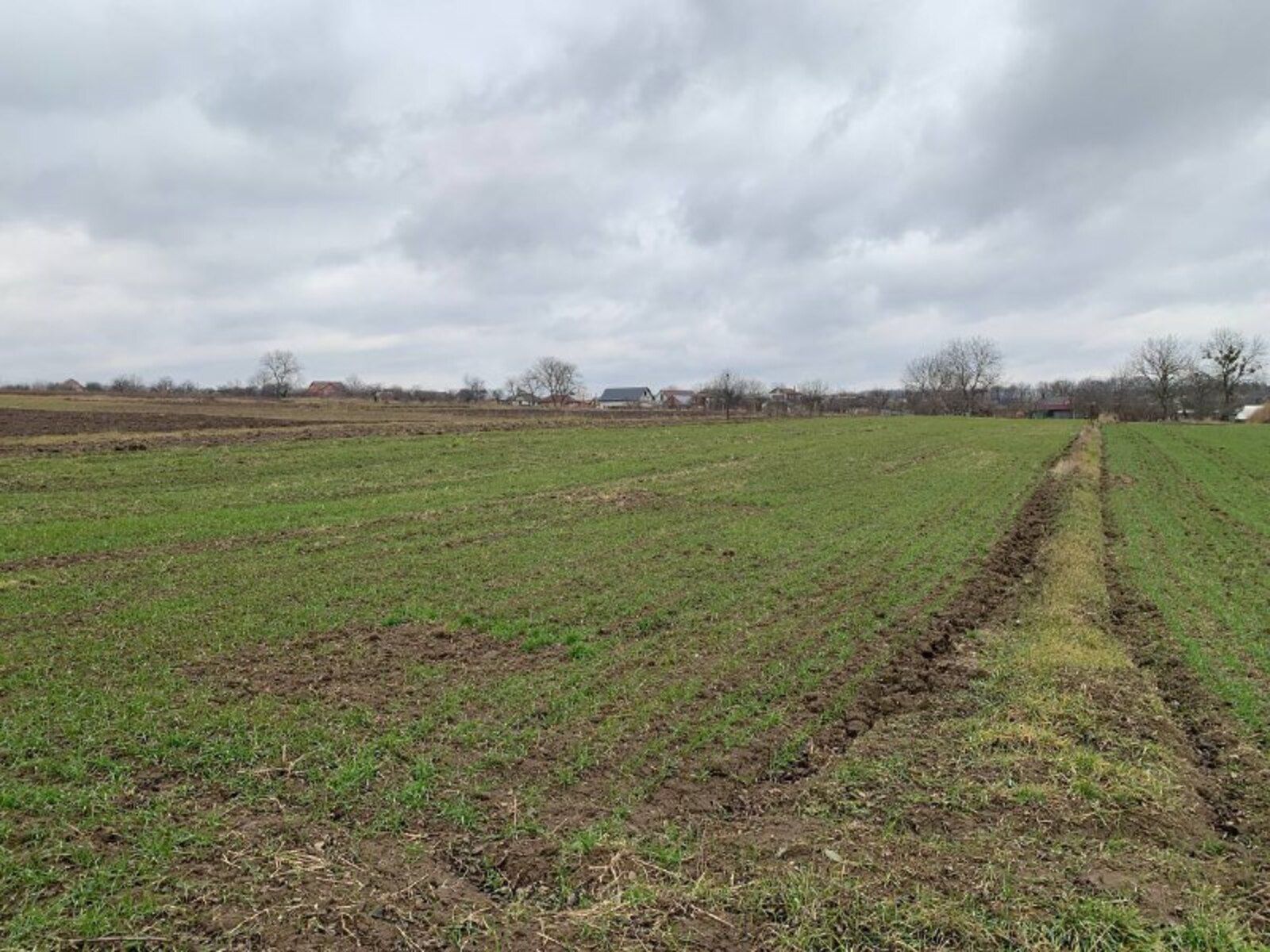 Який оптимальний термін оренди Який оптимальний термін оренди