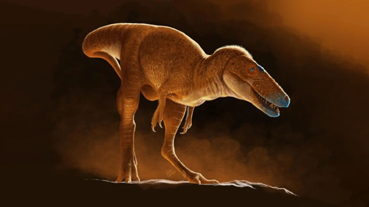 Новый вид динозавра является недостающим звеном эволюции тираннозавров Новый вид динозавра является недостающим звеном эволюции тираннозавров